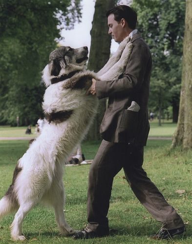 Just Your Dad is an understatement relevant to the dog in Finding Neverland.